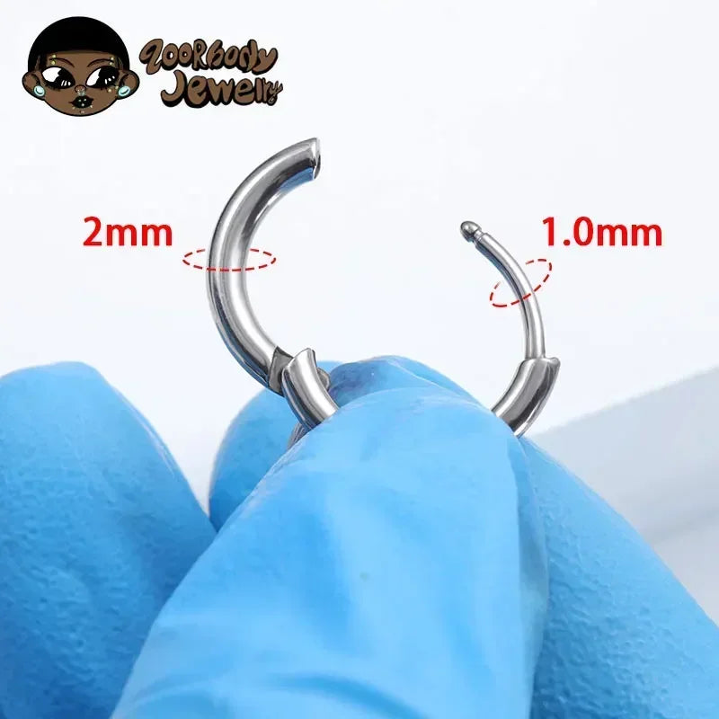ZOOR Titanium Plain Smooth Hinged Hoop Pair
