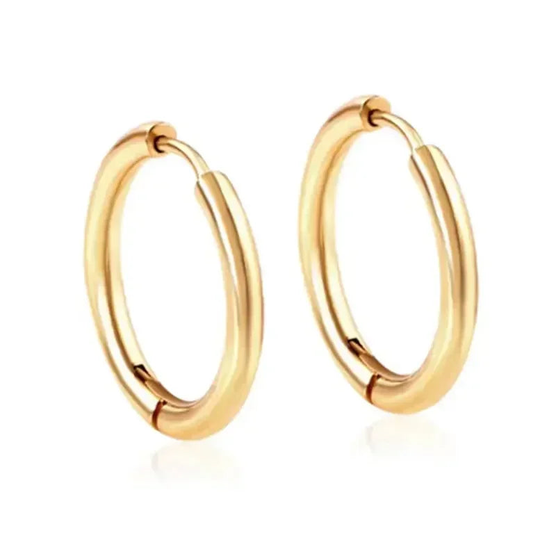 ZOOR Titanium Plain Smooth Hinged Hoop Pair